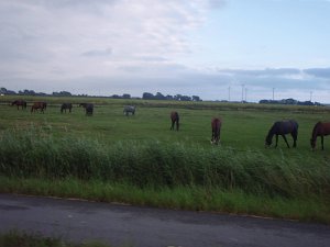 Mitternacht-Radmarathon 272